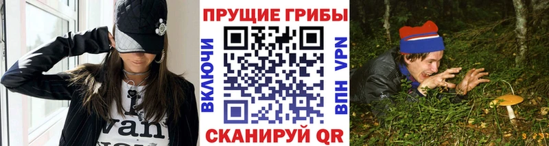 Псилоцибиновые грибы Cubensis  ОМГ ОМГ онион  Дзержинск  сколько стоит 