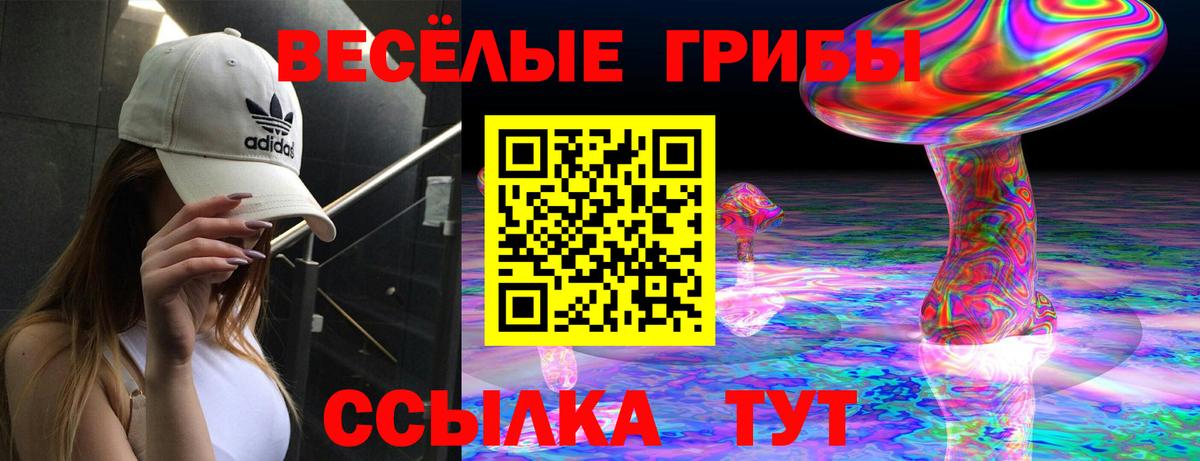 Галлюциногенные грибы прущие грибы  Вход с VPN  Дзержинск 